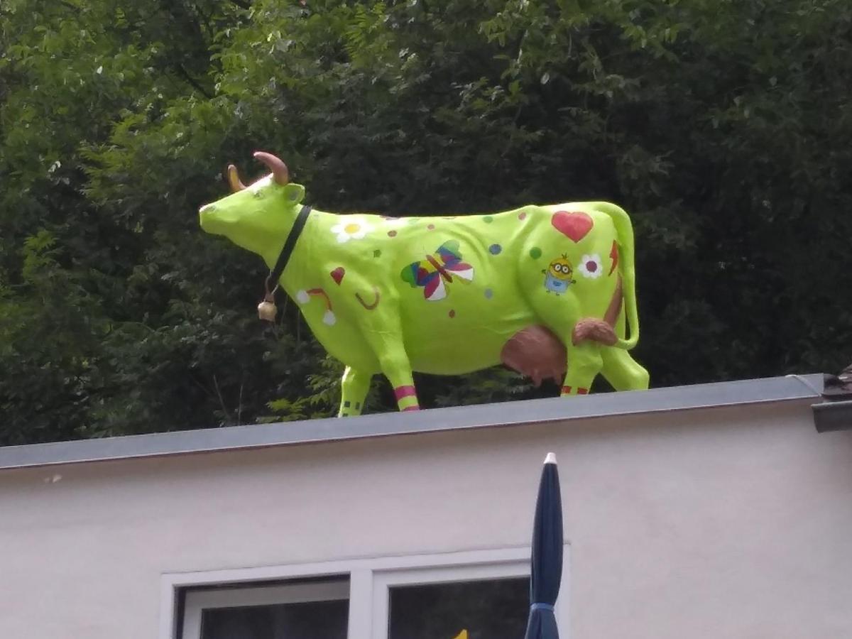 Pension Camping Schausten Cochem Eksteriør billede